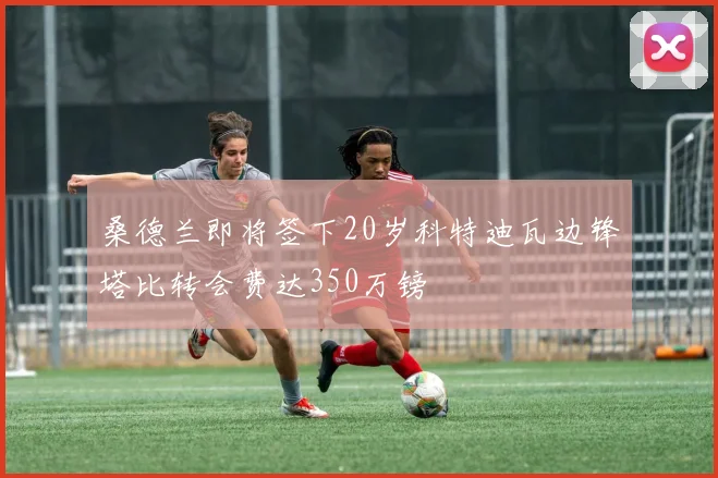 桑德兰即将签下20岁科特迪瓦边锋塔比转会费达350万镑